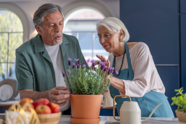 istock Senior Couple Caring for Lavender Plant in the Kitchen 2190533617