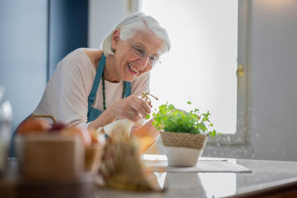 istock Senior Woman Joyfully Watering Indoor Plants 2190533682