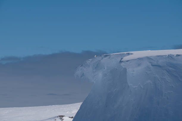 Endless snow. Snow in Antarctica. Winter snow background. Texture. Snowdrift.