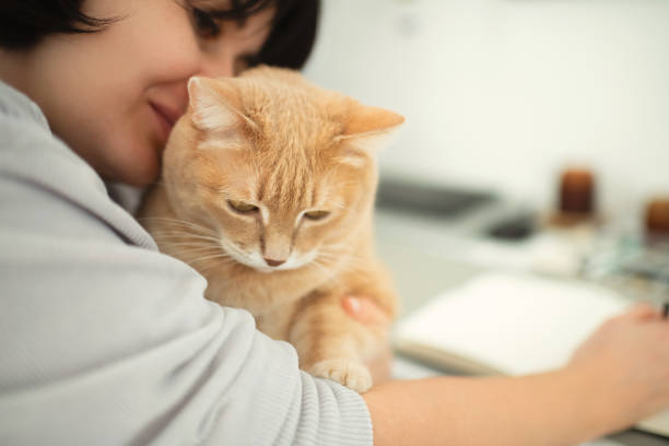 istock Woman studying or working at home with her cat 2190546002