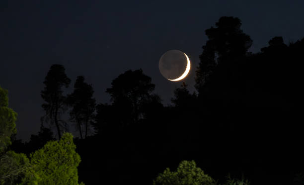 istock Crescent moon above silhouette of trees in night sky 2190547053