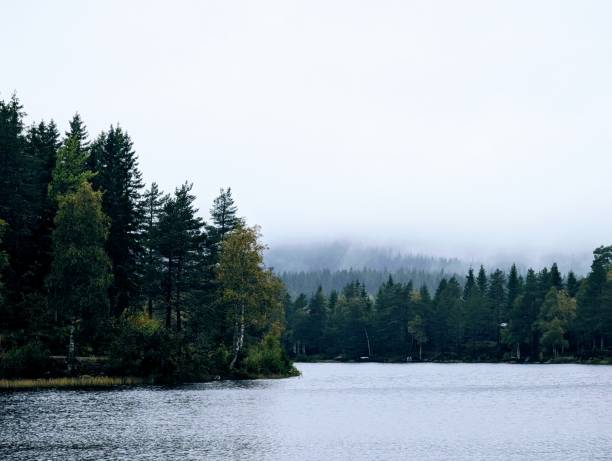 istock a Norwegian lake surrounded by trees on a dark rainy day 2190550271