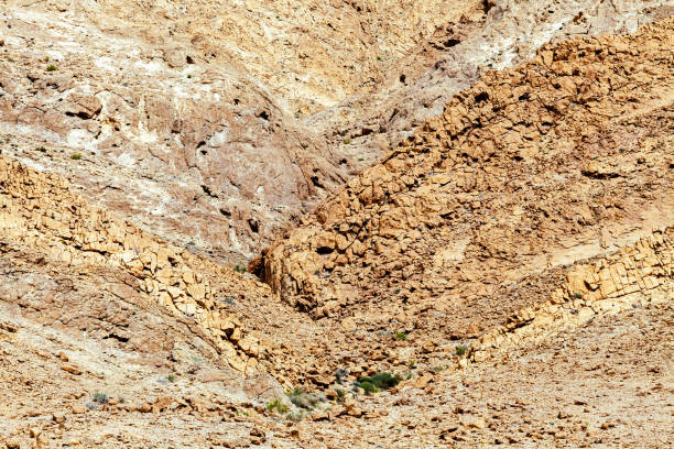 View of Negev desert in the South Israel