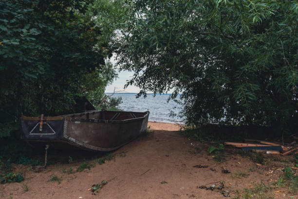 Old wooden boat by sandy shore hidden among trees