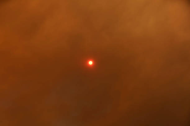 RED SUNLIGHT - COVERED BY FIRE SMOKE AROUND THE PORTUGAL
