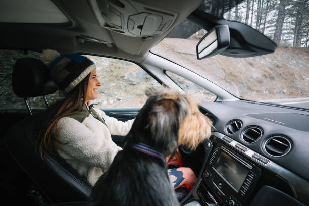 istock young woman driving to nature 2190554638