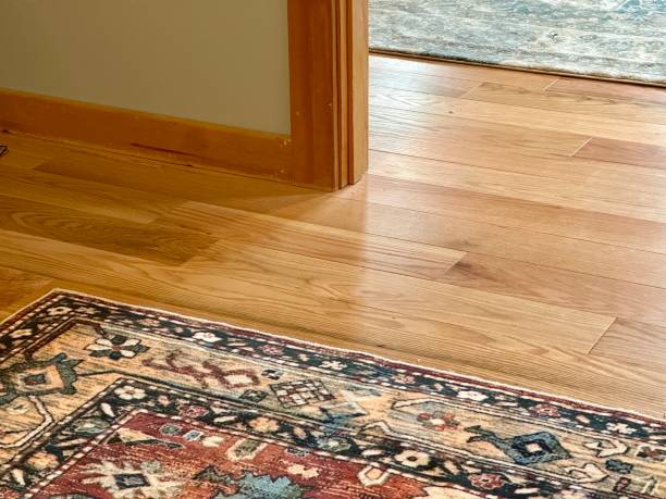 istock Area Rugs on Hardwood Floors 2190555219