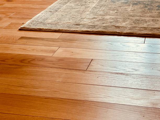 istock Area Rugs on Hardwood Floors 2190555252