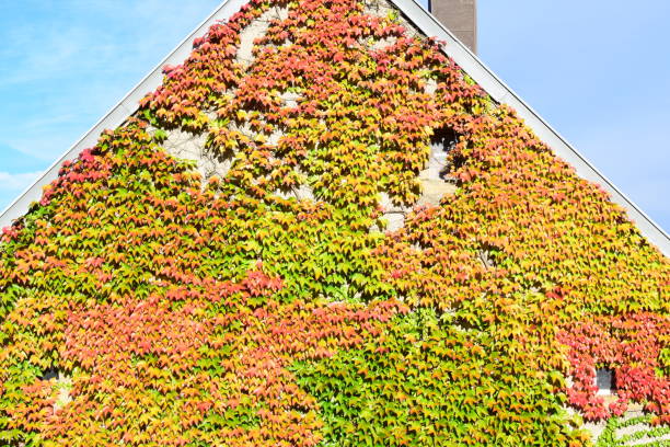 autumn in France
