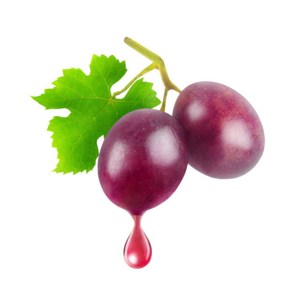 istock Two red grapes on a branch with drop of juice or wine isolated 2190556563