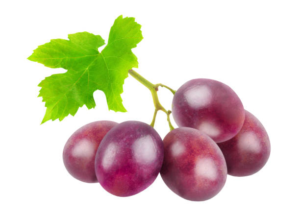 istock Purple grapes with vibrant green leaf against a white background 2190556840