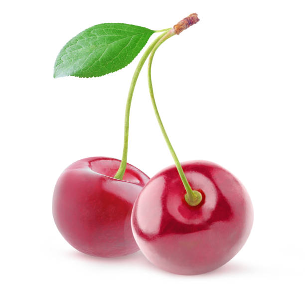 istock Two cherry fruits on connected stems with leaf isolated on white background 2190556920