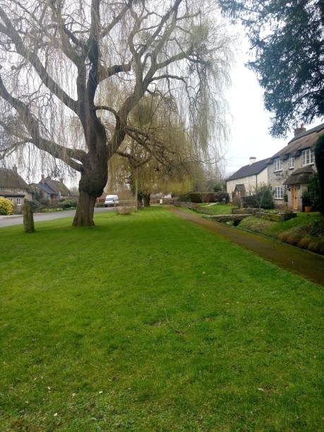 istock spring, England, grass, house, trees, flowers, daffodils 2190559222