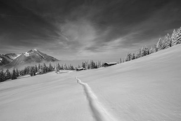 beautifull lanscape on winter time