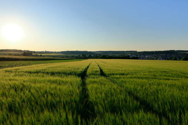 istock Sunset with a harsh contrast from light to dark 2190564073