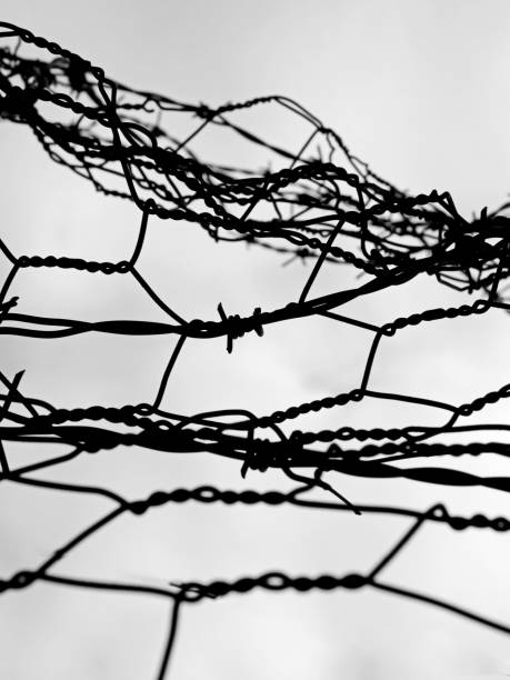 black and white barbed wire fence