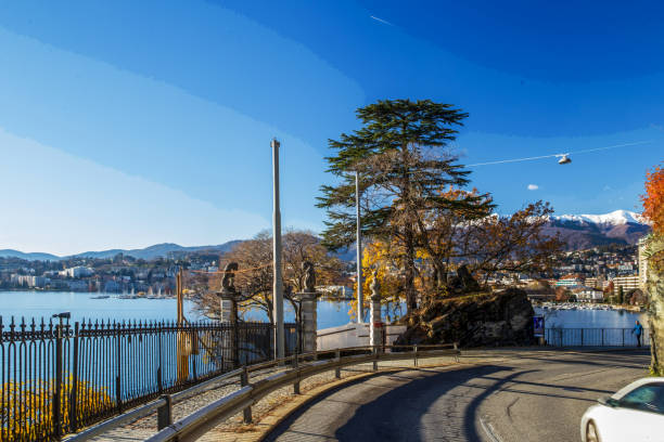 Awe  view on Lugano city   throw trees  and lake Lugano from auto road - Sunny day in Southern Sitzerland ( soon Christmas)   Airplane trail in the blue sky over Switzerland