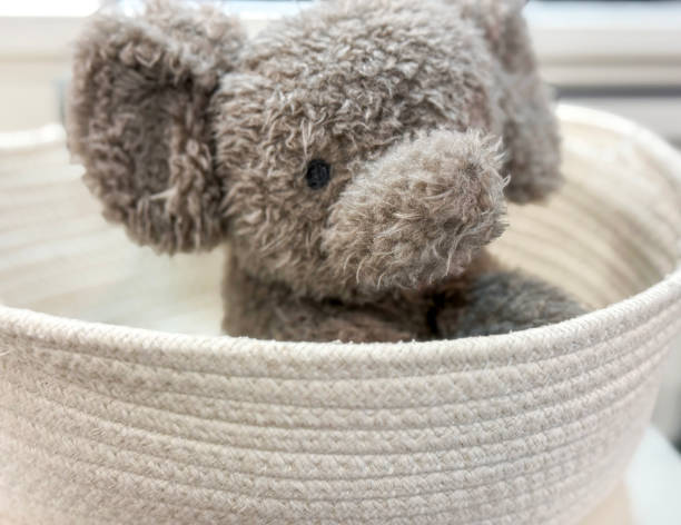 Joli petit ours en peluche dans un petit panier en osier