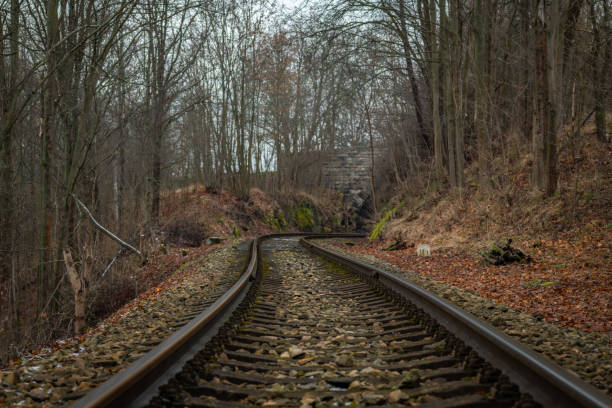 Summertime motion through the forest on straight railway track at the sunset