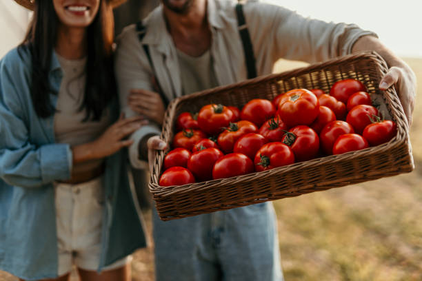 istock Organic farm is what we do 2190571009