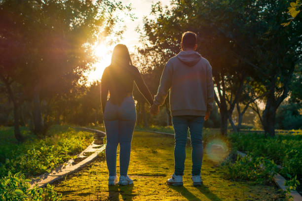 istock lovers admiring the sunset holding hands 2190571972