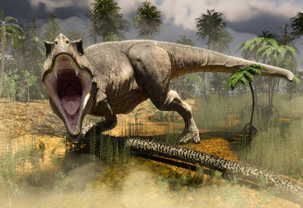 istock Dinosaur predator Tyrannosaurus Rex attacking 2190575032
