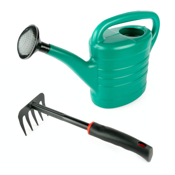 Garden tools, watering can and rake isolated on white.