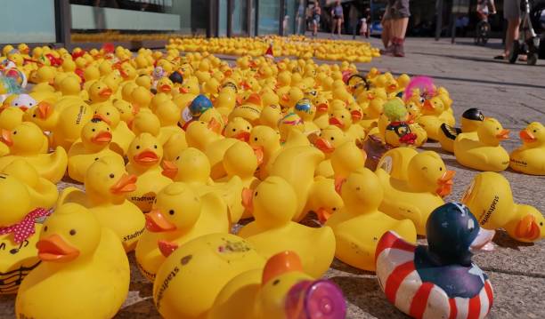 Charity Duck Race in Germany