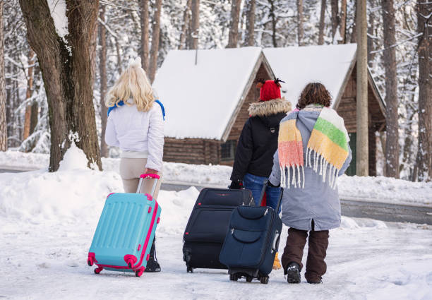 istock Family with suitcases arrived on the winter vacation 2190588179