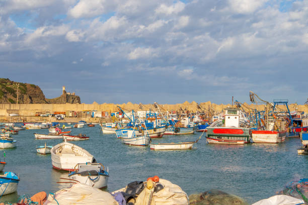 Algerian port , cherchel port with sardinier