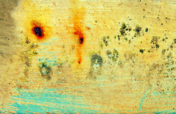 This is a close up abstract color photograph of mostly yellow colored painted metal rusting outdoors.