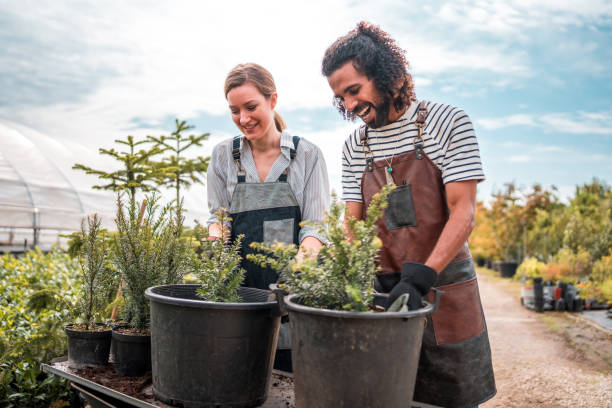 istock Diverse Gardeners in Aprons Work on Flower Repotting 2190607224