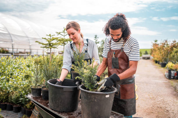 istock Smiling Gardeners at Work In Garden Center 2190607230