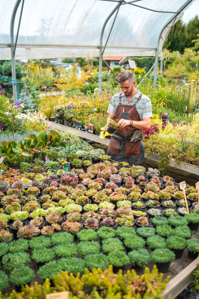 istock Caucasian Gardener Working with Blossoms 2190607243