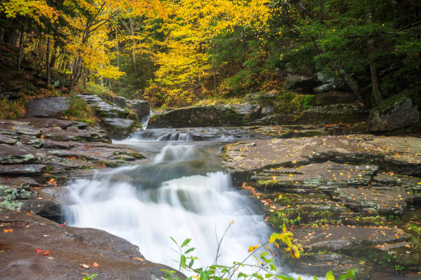 Water cascade along Kaarterskill Falls Trail in Autumn, New York, USA