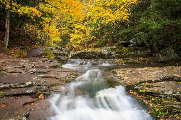 istock Water cascade along Kaarterskill Falls Trail in Autumn 2190608513