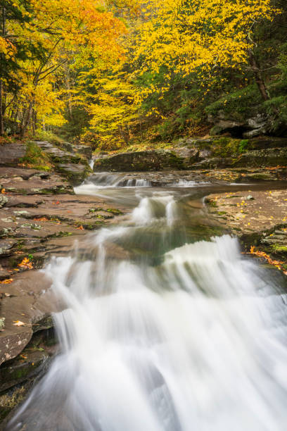istock Water cascade along Kaarterskill Falls Trail in Autumn 2190608522