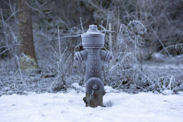 Germany, Schonau - 01.12.2024: Fire hydrant covered with frost. A beautiful grey-green hydrant covered with a layer of frost.
