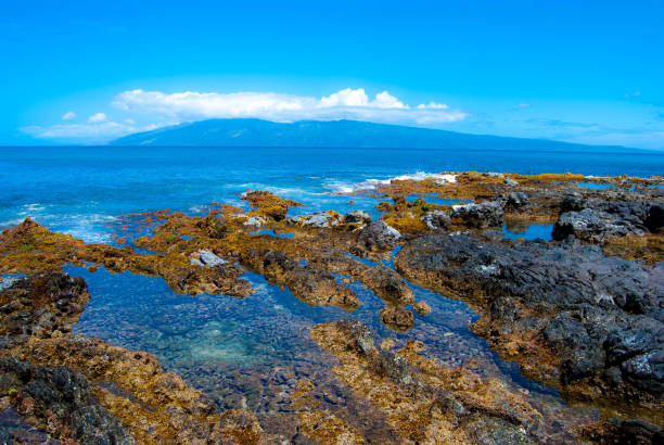 istock Hawaii coast tidepools - Maui 2190609868