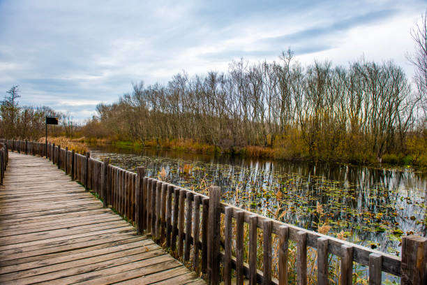 Acarlar Floodplain Forest (Turkish: Acarlar Longozu) is a floodplain forest located in Karasu. Sakarya, Turkey.