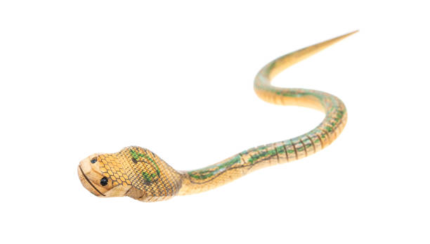 istock wooden snake asian toy isolated over a white background 2190619645