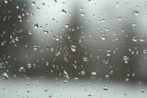 Snowflakes melted on a window with trees blurred in the background.
