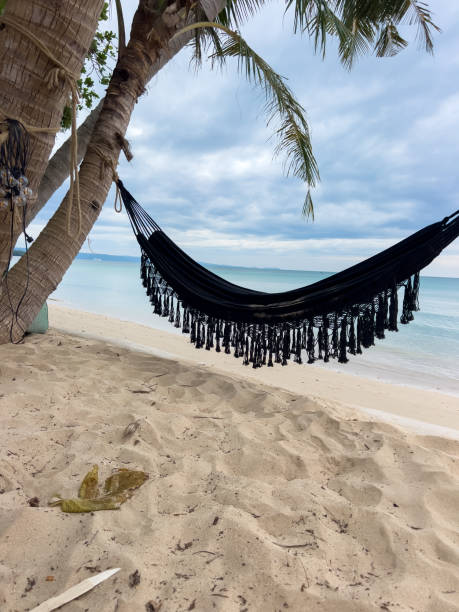 istock Black Hammock Hanging from Palm Tree on Tropical Beach 2190620581