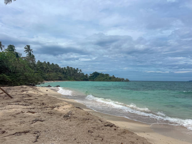 istock Tropical Beach with Palm Trees and Gentle Waves 2190620605