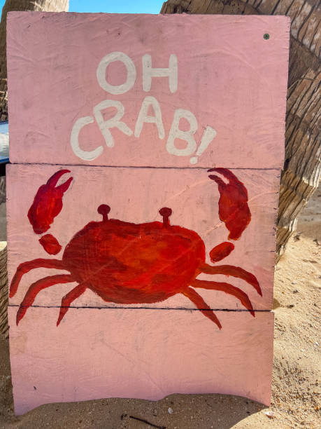Humorous Beach Crab Sign on Sandy Shore