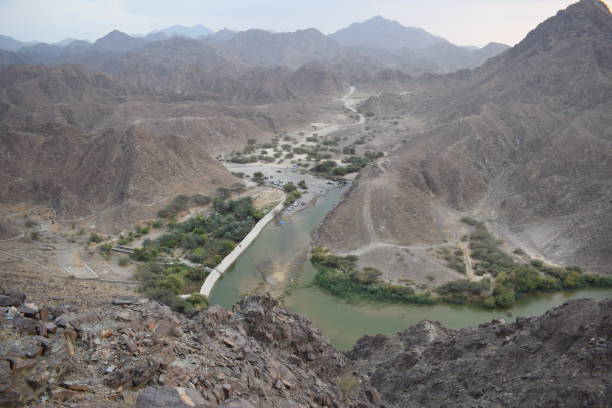 Mountains Dam Parks Wadi Wildlife Fauna Flora