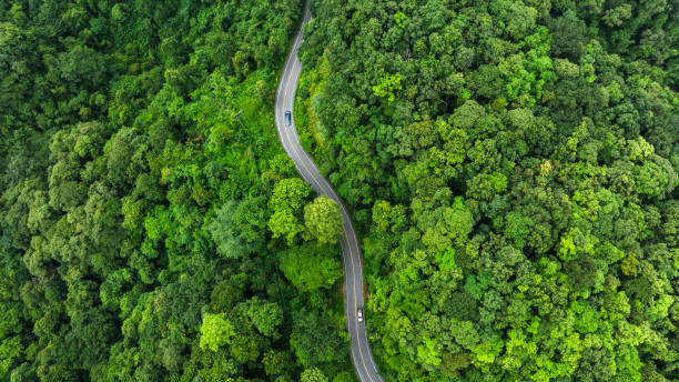 istock Road rainforest ecosystem and healthy environment concept 2190622664