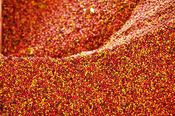 istock close up of fresh coffee beans 2190624371