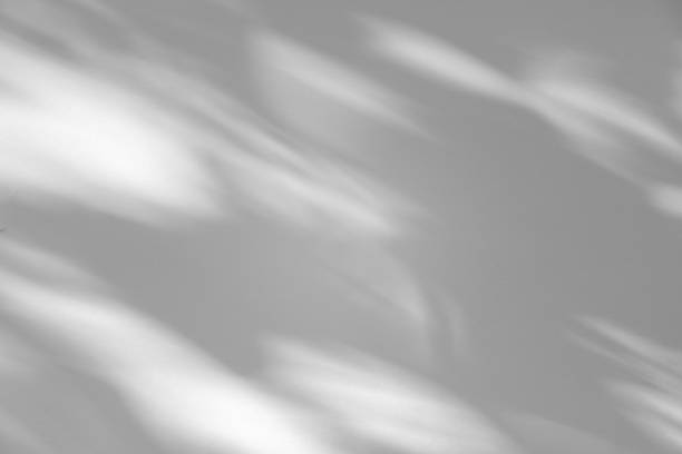 istock Wall interior background, studio and backdrops show products.with shadow from window color white . background for text insertion and presentation product 2190628574