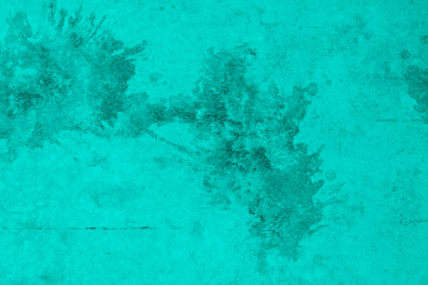 Studio style background wall decoration presentation uses white and green tones. with shadows cast from a nearby window, concept creating a decorative